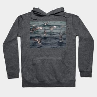 Seagull Hoodie